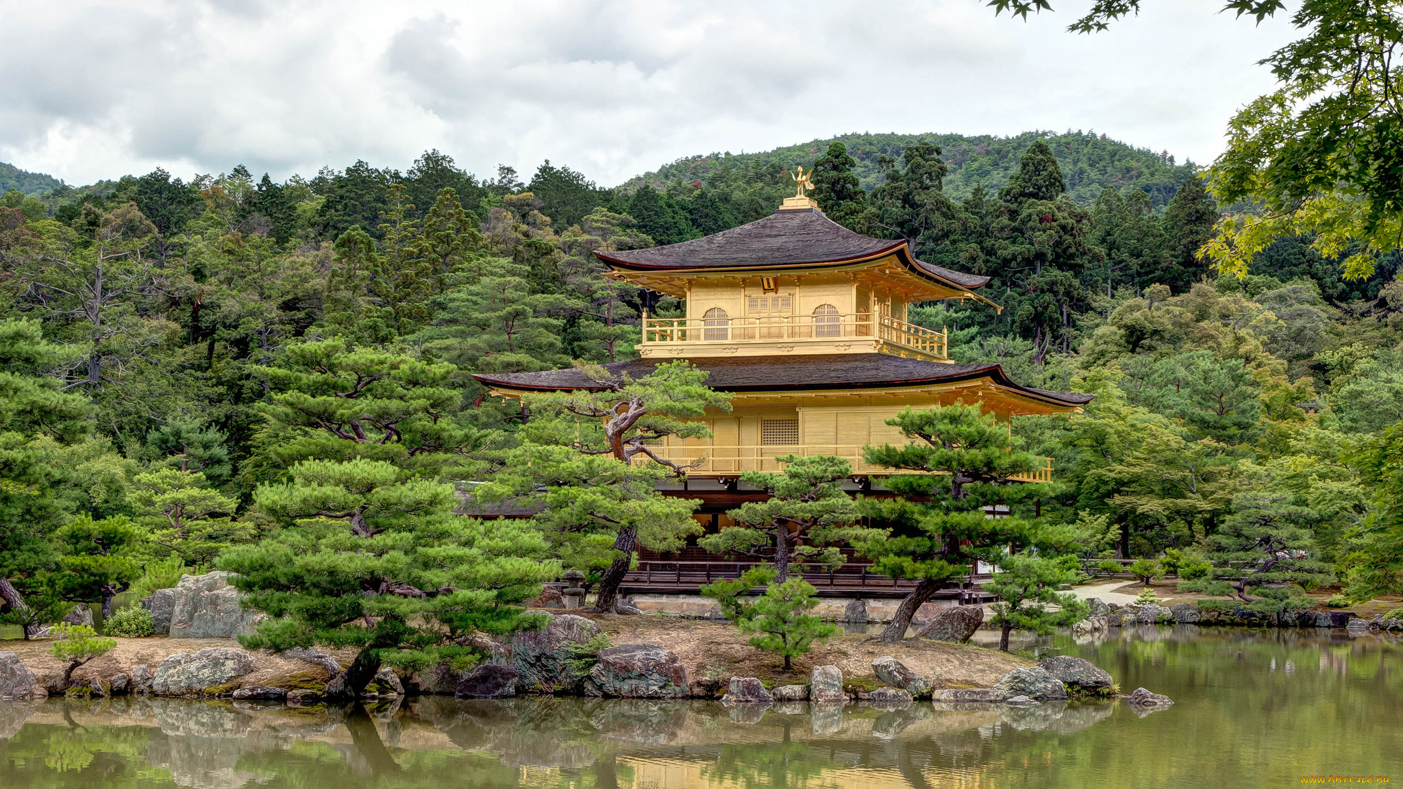 kinkaku-ji temple in kyoto,  japan, ,  , , , , 
